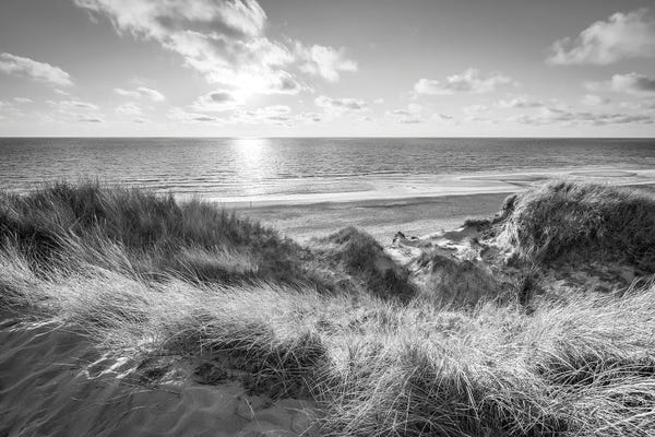 Coastal Sand Dunes: Dune Beach In Black And White by Jan Becke