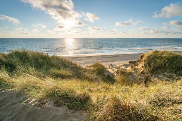 Coastal Sand Dunes: Dune Landscape Near The Sea At Sunset by Jan Becke