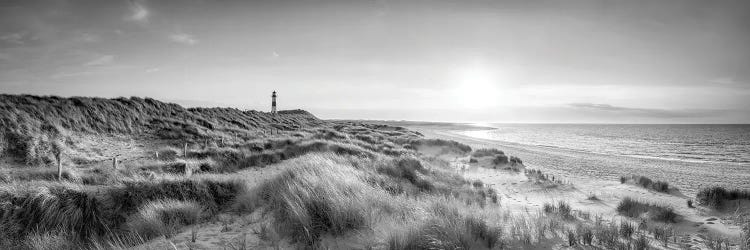 Dune Landscape North Sea Coast, Sylt, Schleswig-Holstein, Germany