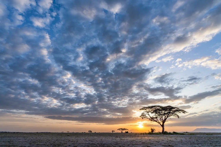 Dramatic Sunset Clouds In Amboseli National Park, Kenya, Africa