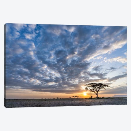 Dramatic Sunset Clouds In Amboseli National Park, Kenya, Africa Canvas Print #JNB2339} by Jan Becke Canvas Art
