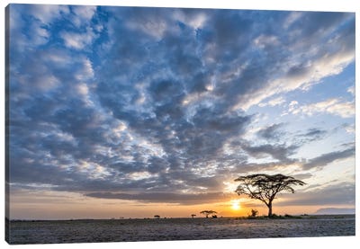 Dramatic Sunset Clouds In Amboseli National Park, Kenya, Africa Canvas Art Print - Kenya