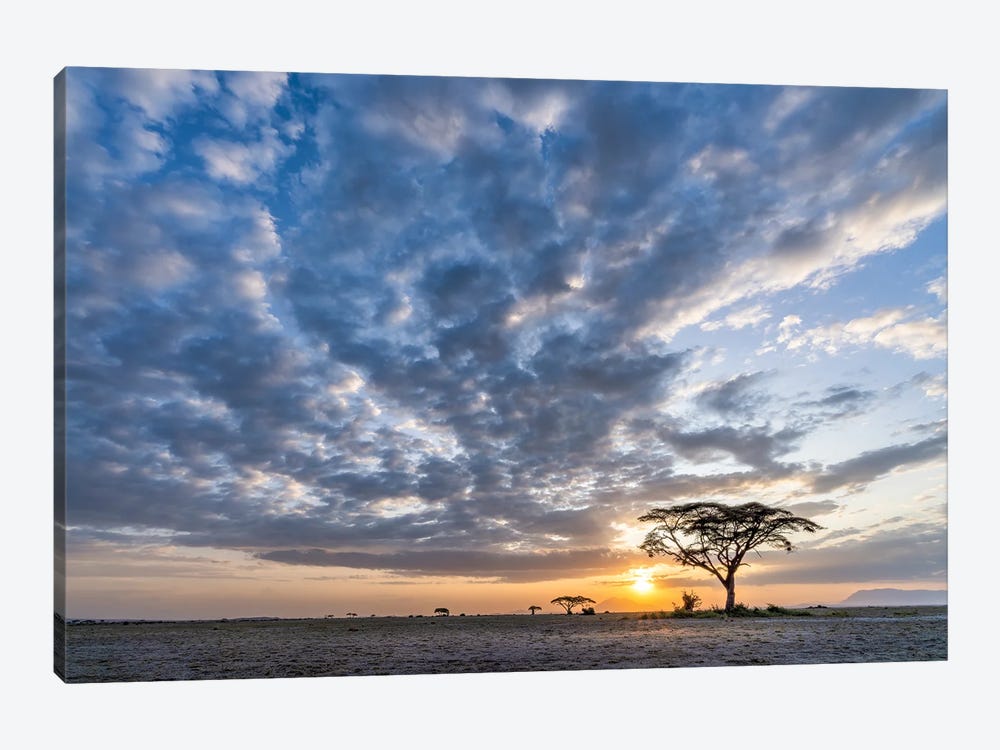 Dramatic Sunset Clouds In Amboseli National Park, Kenya, Africa by Jan Becke 1-piece Canvas Artwork