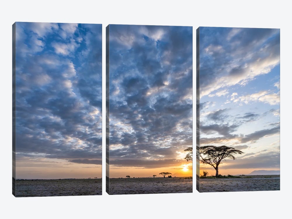 Dramatic Sunset Clouds In Amboseli National Park, Kenya, Africa by Jan Becke 3-piece Canvas Artwork