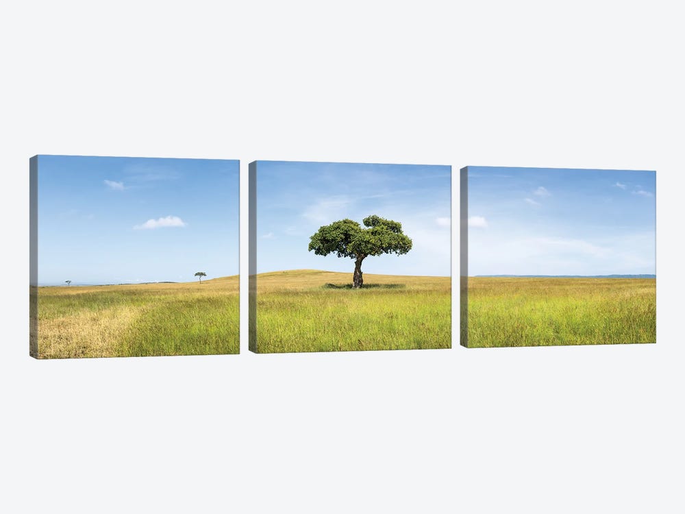 Lonely Acacia Tree In The Maasai Mara (Masai Mara), Kenya, Africa by Jan Becke 3-piece Art Print