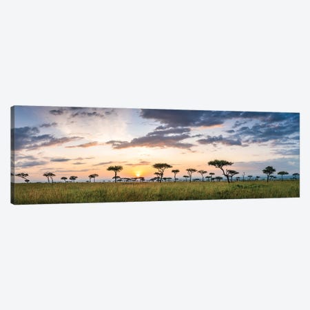 Maasai Mara (Masai Mara) Savannah Panorama At Sunrise, Kenya, Africa Canvas Print #JNB2343} by Jan Becke Canvas Art Print