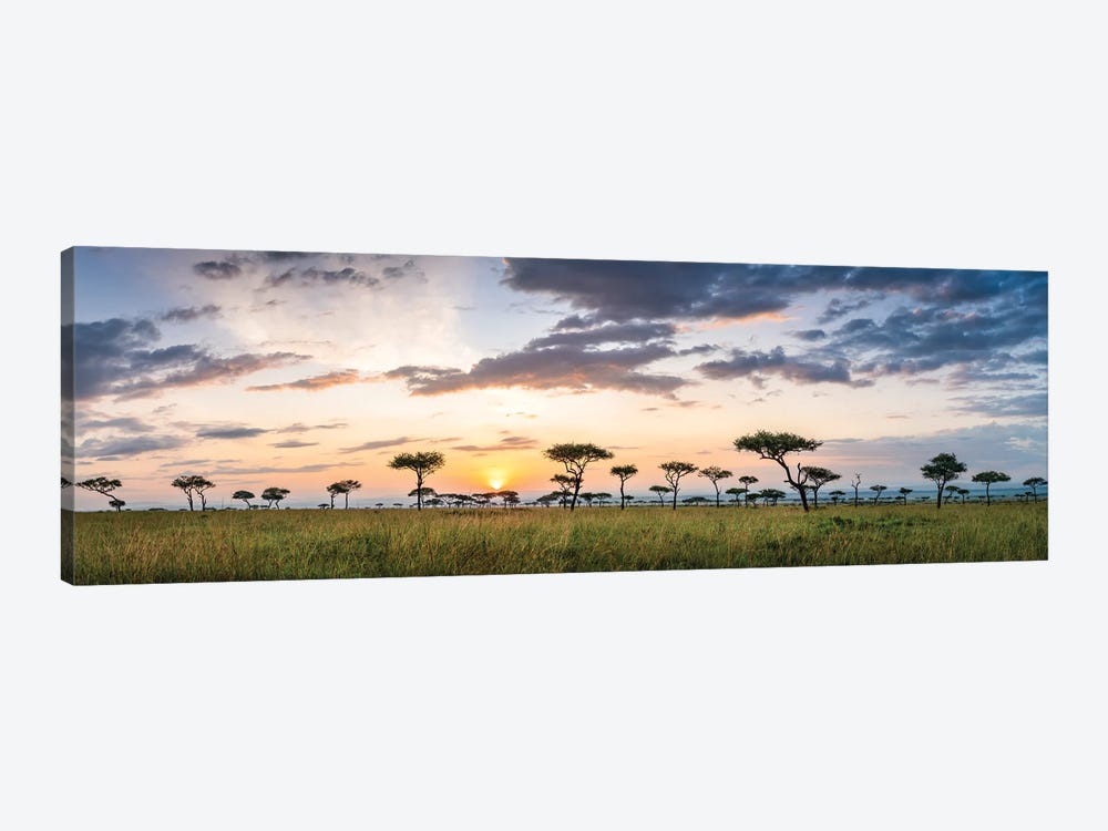 Maasai Mara (Masai Mara) Savannah Panorama At Sunrise, Kenya, Africa by Jan Becke 1-piece Art Print