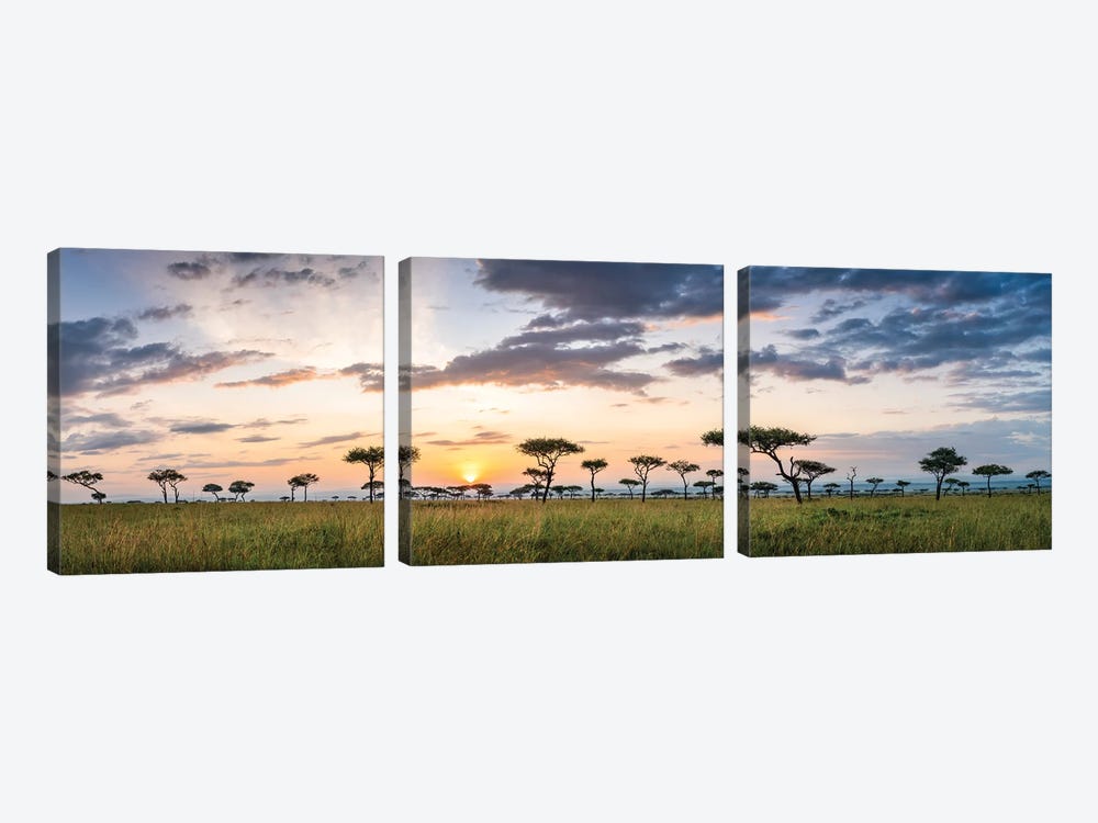 Maasai Mara (Masai Mara) Savannah Panorama At Sunrise, Kenya, Africa by Jan Becke 3-piece Art Print