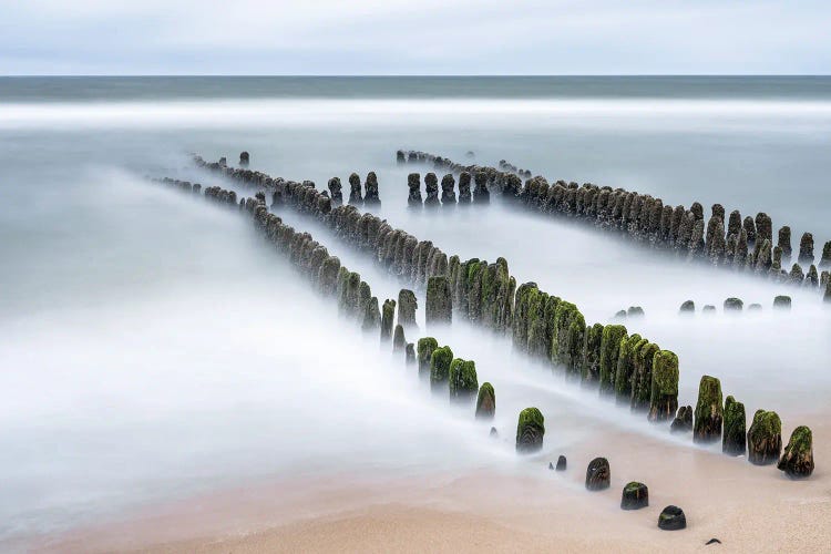 Wooden Groyne At The North Sea Coast