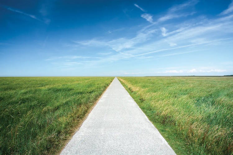 Endless Road Along A Green Meadow