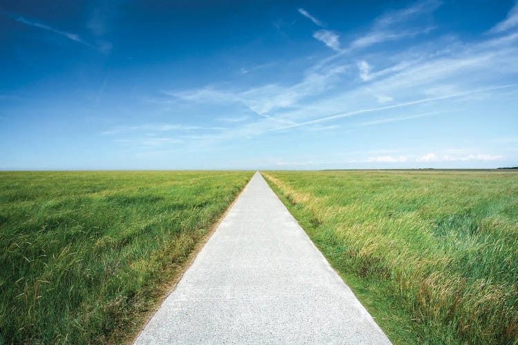 Endless Road Along A Green Meadow by Jan Becke wall art