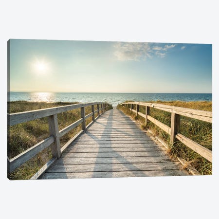 Pathway To The Beach Canvas Print #JNB2353} by Jan Becke Canvas Artwork