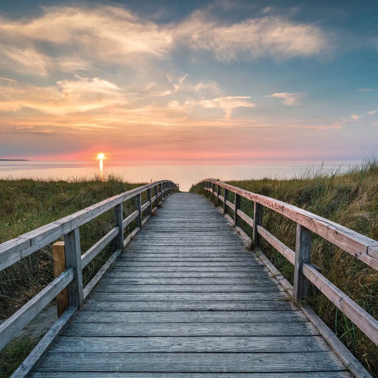 Walk Along The Dune Beach At Sunset