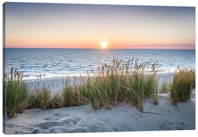 Dune Landscape At Sunset II Canvas Art Print - Beach Sunrise & Sunset Art