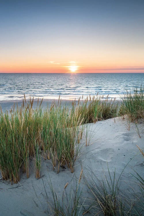 Dune Landscape At The Beach During Sunset