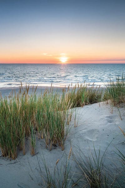 Beach Sunrises & Sunsets: Dune Landscape At The Beach During Sunset by Jan Becke