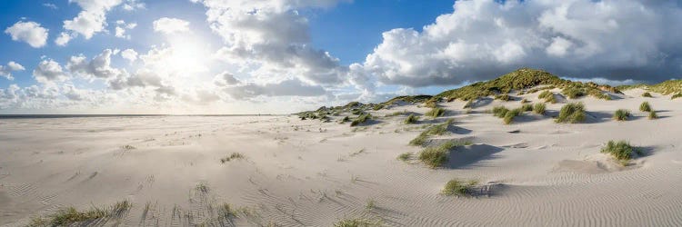 Dune Landscape In Warm Sunlight