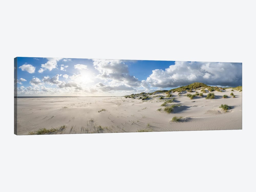 Dune Landscape In Warm Sunlight by Jan Becke 1-piece Canvas Print