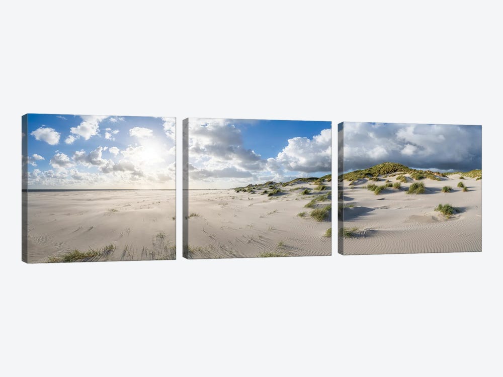 Dune Landscape In Warm Sunlight by Jan Becke 3-piece Canvas Print