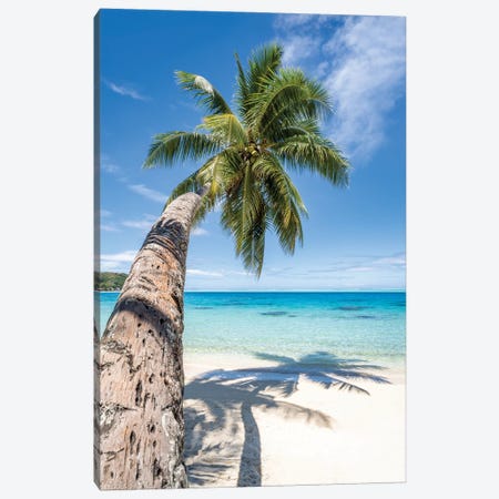 Palm Tree On A Tropical Beach In The South Seas Canvas Print #JNB2386} by Jan Becke Canvas Artwork
