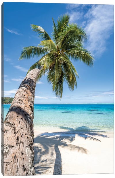 Palm Tree On A Tropical Beach In The South Seas Canvas Art Print - French Polynesia Art