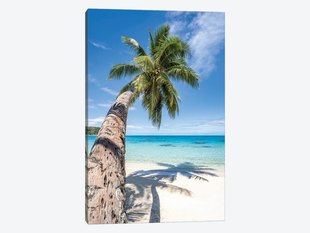 Palm Tree On A Tropical Beach In The South Seas by Jan Becke 1-piece Canvas Wall Art