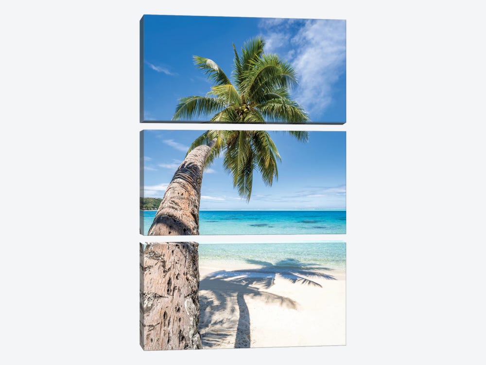 Palm Tree On A Tropical Beach In The South Seas by Jan Becke 3-piece Canvas Wall Art