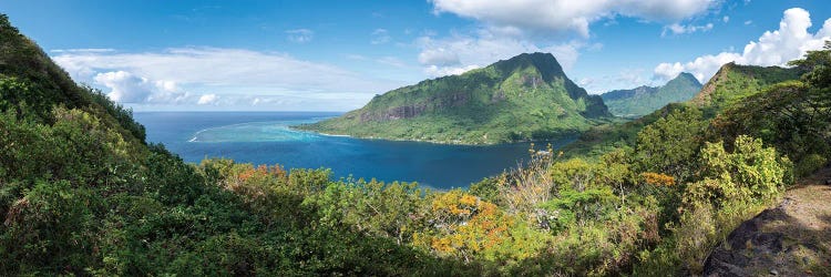 Panoramic View Of Opunohu Bay On Moorea Island, French Polynesia