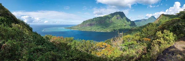 French Polynesia: Panoramic View Of Opunohu Bay On Moorea Island, French Polynesia by Jan Becke