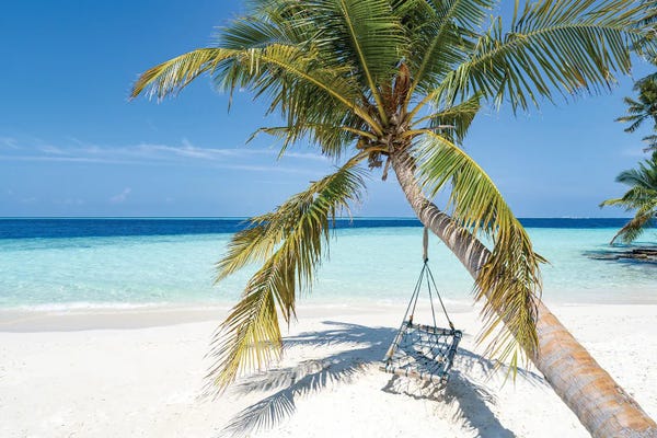 Fine Art Print: Swing On A Palm Tree On A Tropical Island In The Maldives by Jan Becke