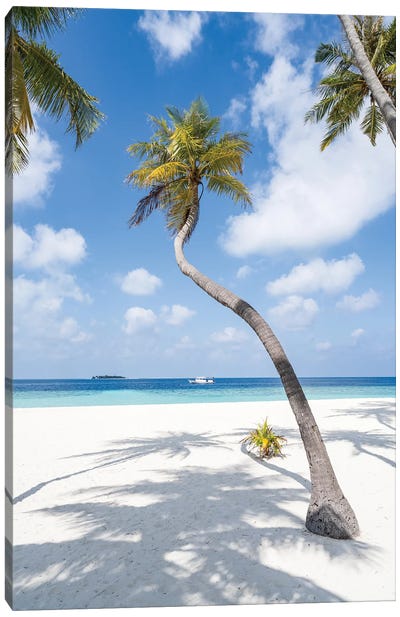 Palm Tree On The Beach, Maldives Canvas Art Print - Maldives