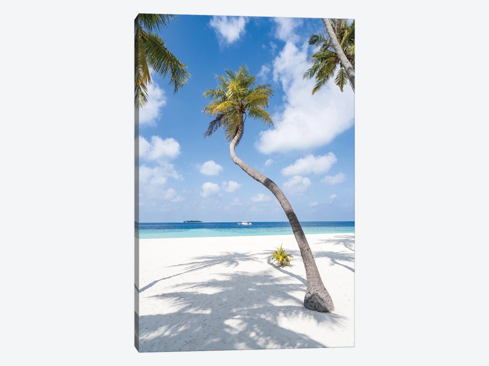 Palm Tree On The Beach, Maldives by Jan Becke 1-piece Canvas Art Print