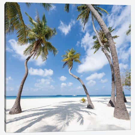 Palm Trees On A Tropical Island In The Maldives Canvas Print #JNB2393} by Jan Becke Canvas Art