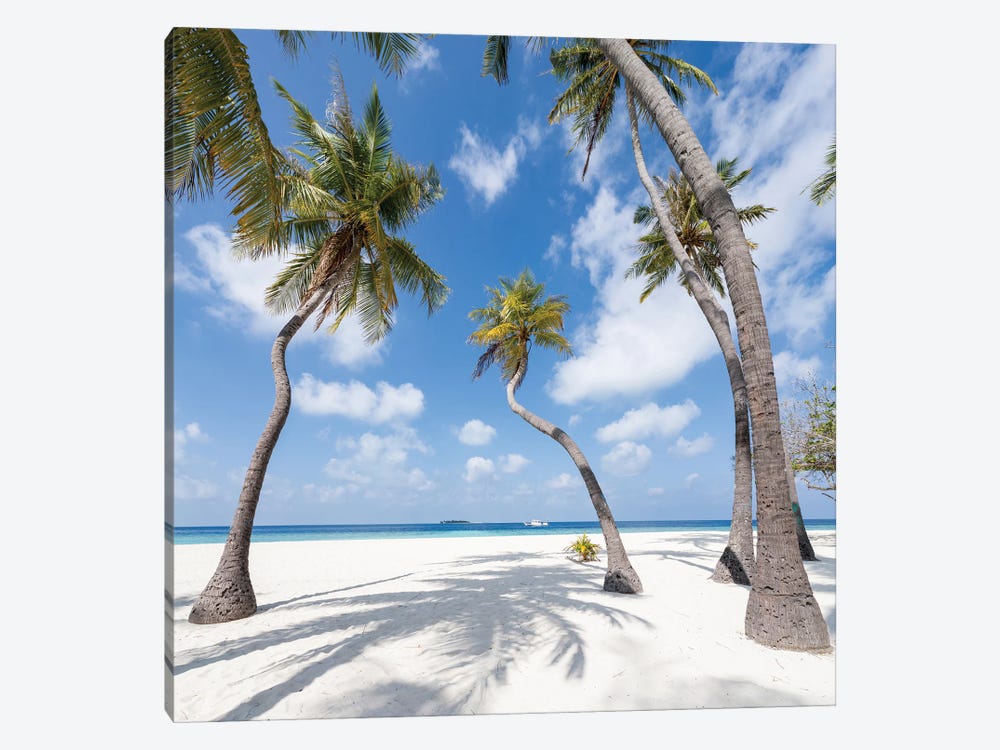 Palm Trees On A Tropical Island In The Maldives by Jan Becke 1-piece Canvas Wall Art
