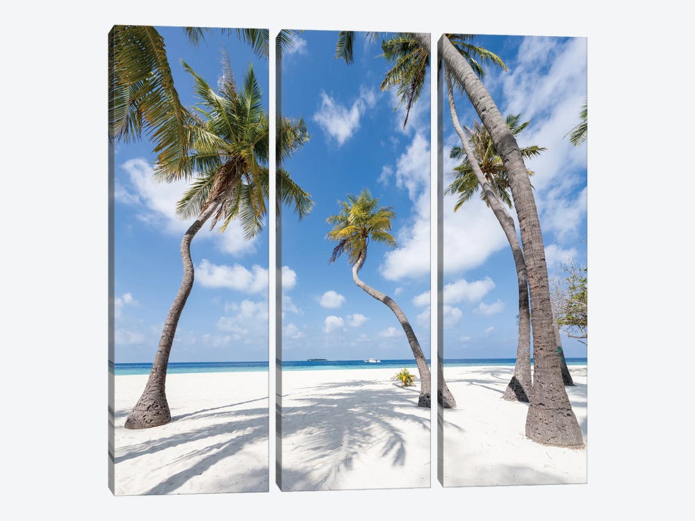 Palm Trees On A Tropical Island In The Maldives by Jan Becke 3-piece Canvas Art