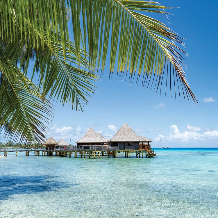 Summer Vacation At The Beach, French Polynesia