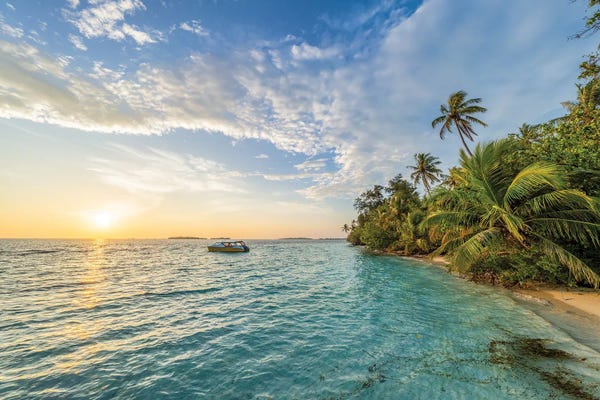 Fine Art Print: Beautiful Sunrise On A Tropical Island In The Maldives by Jan Becke
