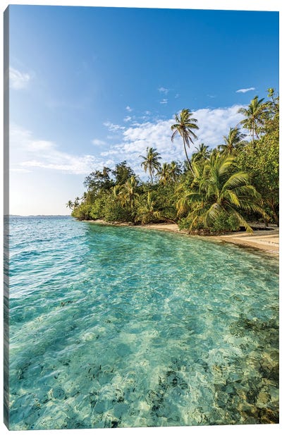 Tropical Island With Palm Trees In The Maldives Canvas Art Print - Maldives