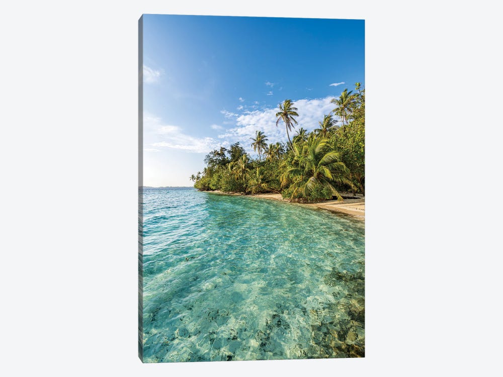 Tropical Island With Palm Trees In The Maldives by Jan Becke 1-piece Canvas Art Print
