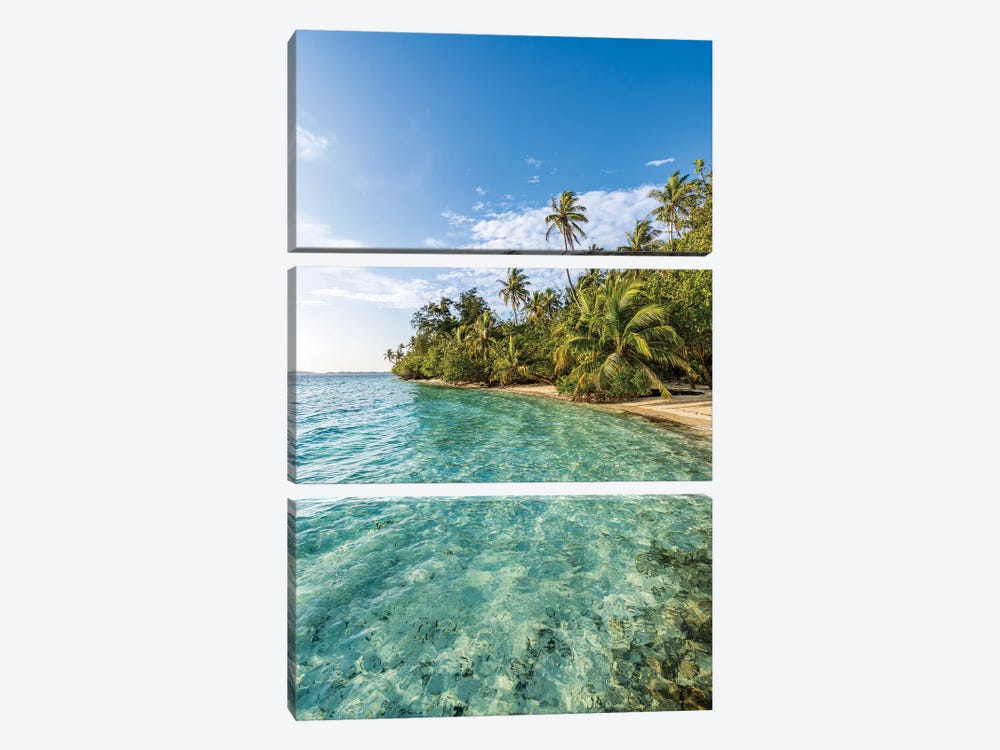 Tropical Island With Palm Trees In The Maldives by Jan Becke 3-piece Art Print