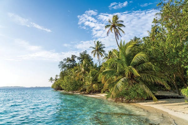 Fine Art Print: Summer Vacation On A Tropical Island In The Maldives by Jan Becke