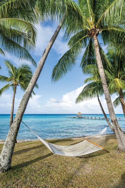 Fine Art Print: Hammock On The Beach by Jan Becke