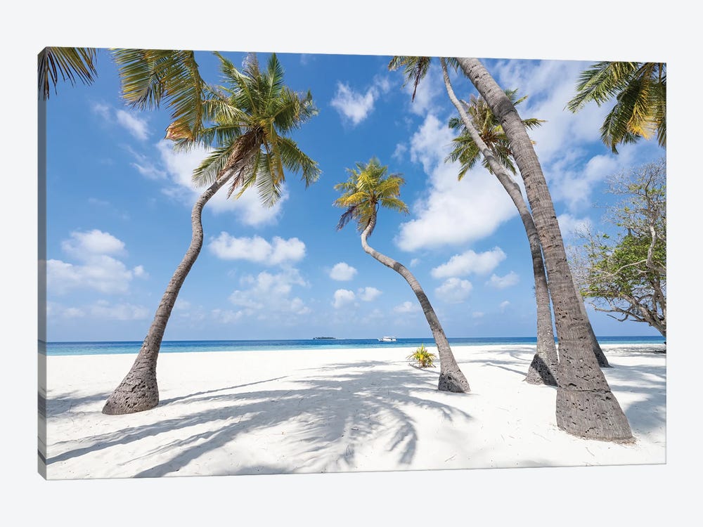 Palm Trees On A Tropical Beach, Maldives by Jan Becke 1-piece Canvas Art Print