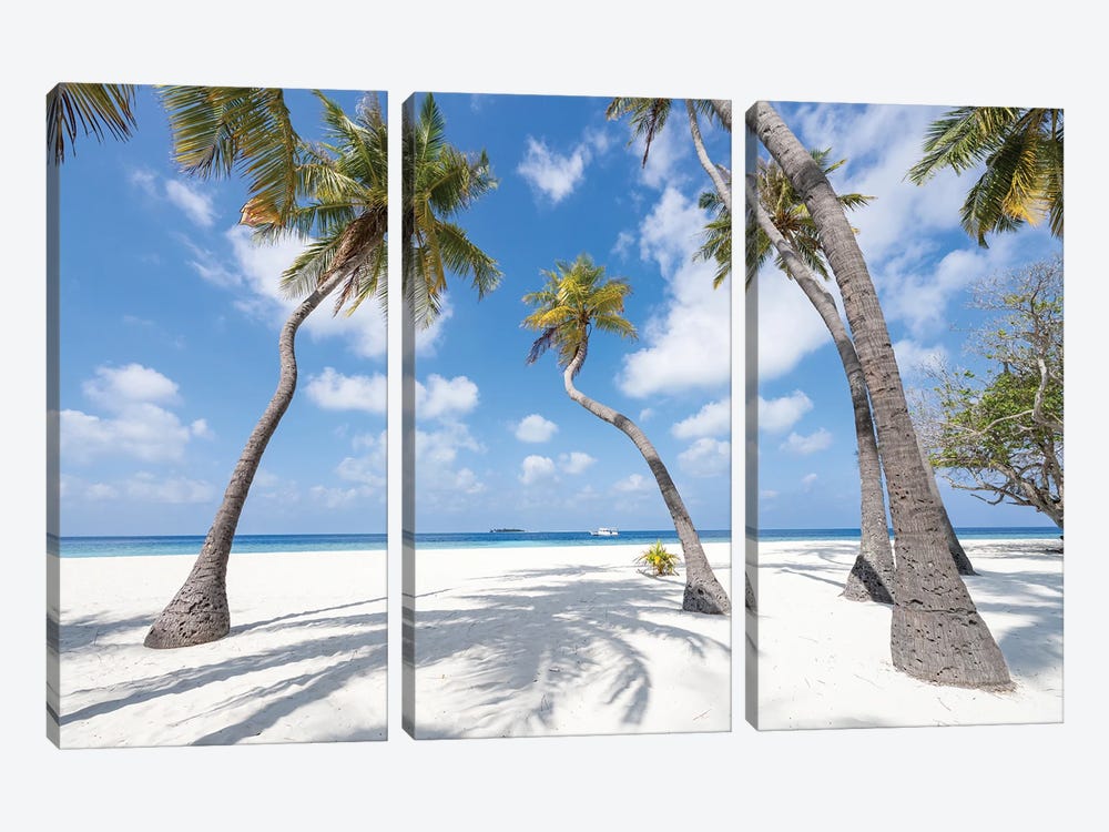 Palm Trees On A Tropical Beach, Maldives by Jan Becke 3-piece Canvas Print