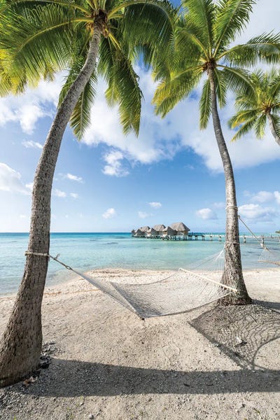 Tropical Beaches: Summer Vacation In A Hammock On A Tropical Island In The Maldives by Jan Becke