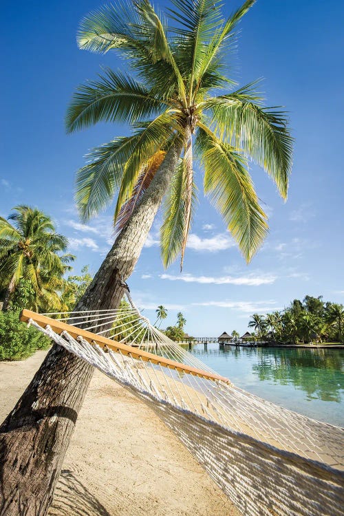 Summer Vacation In A Hammock On A Tropical Island, French Polynesia