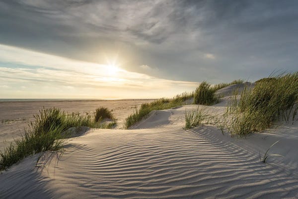 Coastal Sand Dunes: Sunset At The Dune Beach, North Frisian Islands, North Sea Coast, Germany by Jan Becke