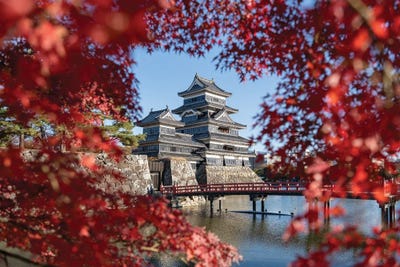 Red Japanese Maple Leaves And Matsumoto Castle In Autumn Season, Nagano Prefecture, Japan by Jan Becke framed canvas print