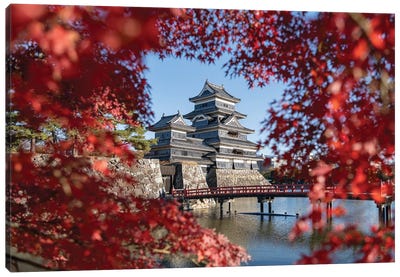 Red Japanese Maple Leaves And Matsumoto Castle In Autumn Season, Nagano Prefecture, Japan Canvas Art Print - Pagodas