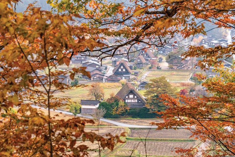 Historic Town Shirakawa-Go In Autumn Season, Gifu Prefecture, Japan